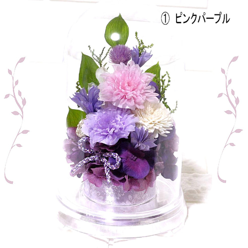ドーム 仏花 ことね菊 選べる3色 お供え 菊 四十九日 プリザーブド