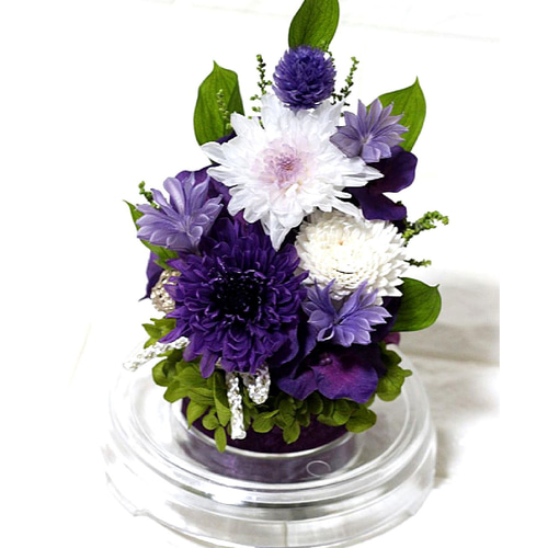 ドーム 仏花 ことね菊 選べる3色 お供え 菊 四十九日