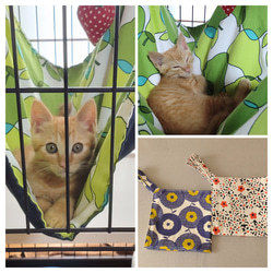 モロッコ クッション ボシャルウィットプフNo.01-10 コットン