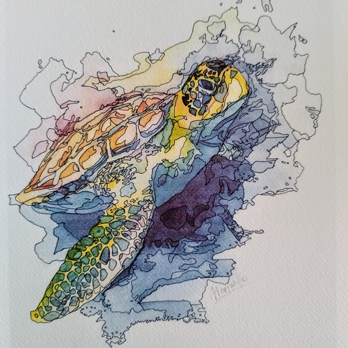 ペン画/水彩画/動物/アート】ウミガメ 絵画 moriwaki artworks ペン画/水彩画/動物/アート】ウミガメ 絵画 moriwaki artworks