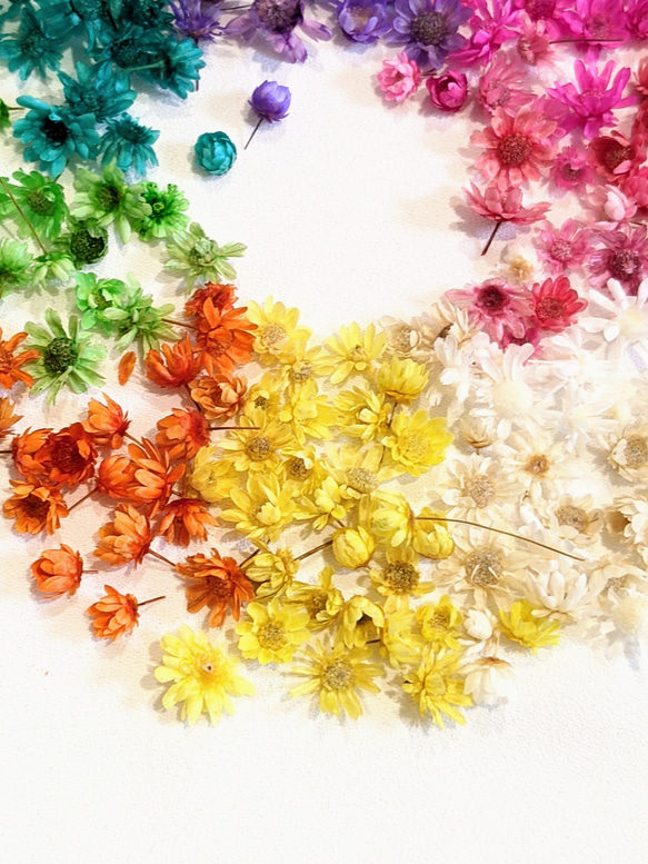 ドライフラワー MIX 100個 ヘッド 花 小花 花材 レジン パーツ 4枚目の画像