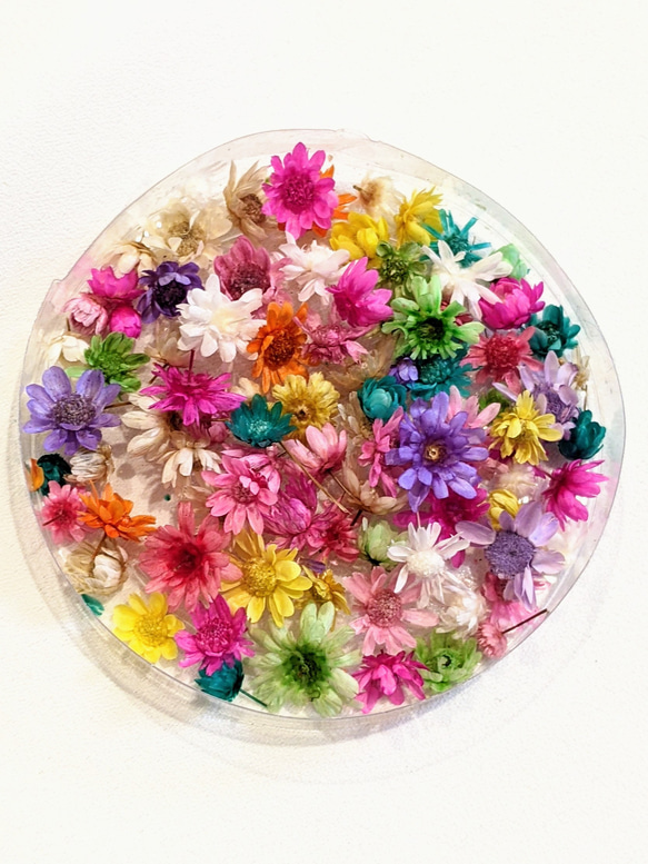 引越し処分様◆【ドライフラワー】花びらつぼみ mix（725 レジン パーツ） 引越し処分様◇【ドライフラワー】花びらつぼみ mix（725 レジン