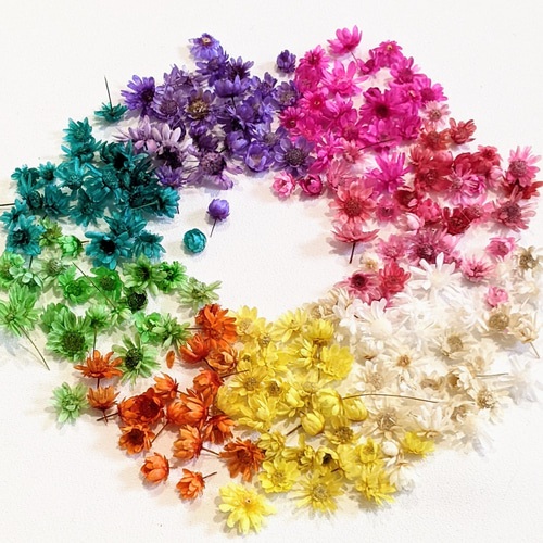 ドライフラワー MIX 100個 ヘッド 花 小花 花材 レジン パーツ