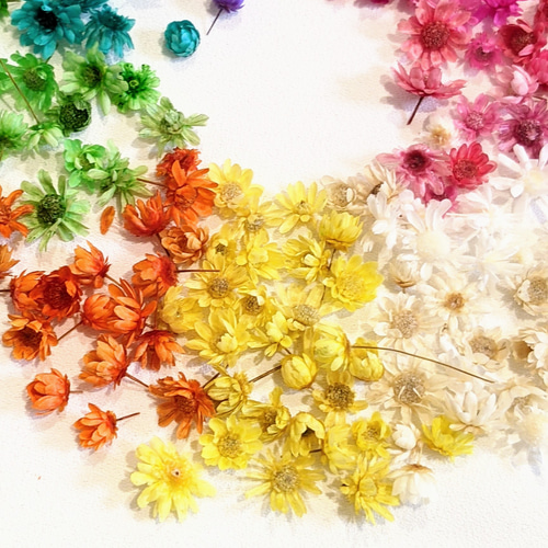 ドライフラワー MIX 100個 ヘッド 花 小花 花材 レジン パーツ