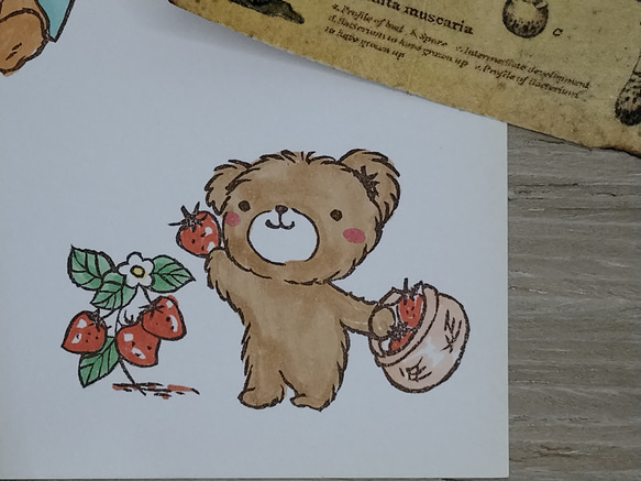 消しゴムはんこNo.192 くまちゃんとカモメ