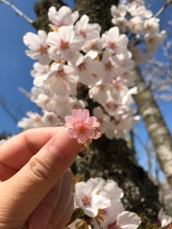 〜春の桜リング〜(フリーサイズ) 14枚目の画像