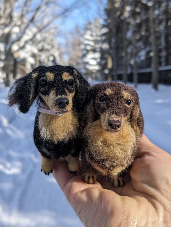 【小さなリアル】オーダー【10cm～13cm】⠀羊毛フェルト+犬 ダックス ダップル スムース ロング 3枚目の画像