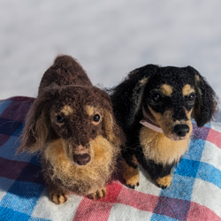 【小さなリアル】オーダー【10cm～13cm】⠀羊毛フェルト+犬 ダックス ダップル スムース ロング 4枚目の画像