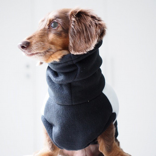 犬服 ハンドメイド タンクトップ ドロシー黒 犬服 ハンドメイド タンクトップ ドロシー黒