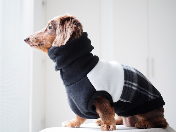 犬服 背中切り替えハイネックタンクトップ ブラック×黒チェック