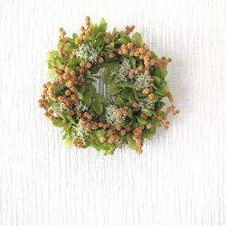 春の訪れを告げる花 ドライミモザのフラワーミニリース ✣ アンティークカラー 2個set・外径10cm 4枚目の画像