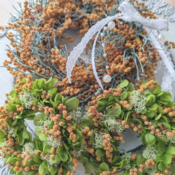 春の訪れを告げる花 ドライミモザのフラワーミニリース ✣ アンティークカラー 2個set・外径10cm 7枚目の画像