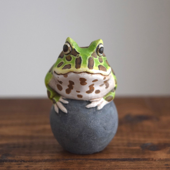 石の上にもクランウェルツノガエル その他置物 もっちょこ 通販