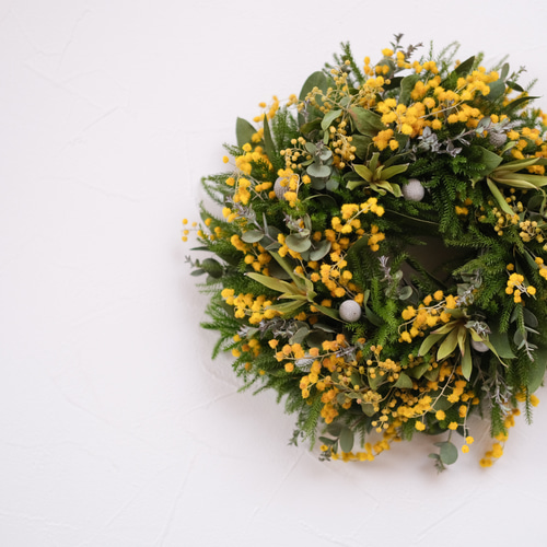 春を告げるミモザリース＊ドライフラワーリース＊ミモザ＊ リース 花