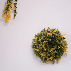 ミモザの春を告げるリース　ドライフラワーリース 春を告げるミモザリース＊ドライフラワーリース＊ミモザ＊ リース 花