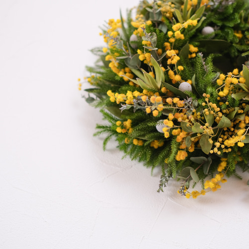 春を告げるミモザリース＊ドライフラワーリース＊ミモザ＊ リース 花