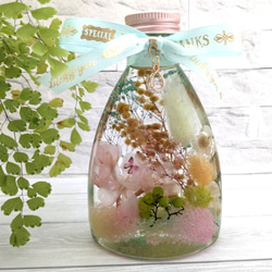 桜とミモザのハーバリウム 入学祝い、卒業祝い、お祝い、プレゼントにも 1枚目の画像