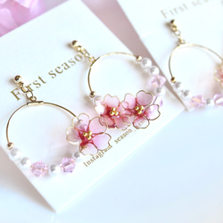 桜フープピアス・イヤリング　clear pink サクラ　さくら 5枚目の画像