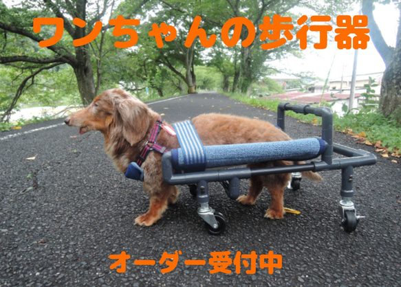 犬の４輪歩行器、中型犬歩行器、車椅子（中型犬シートタイプ） 2枚目の画像
