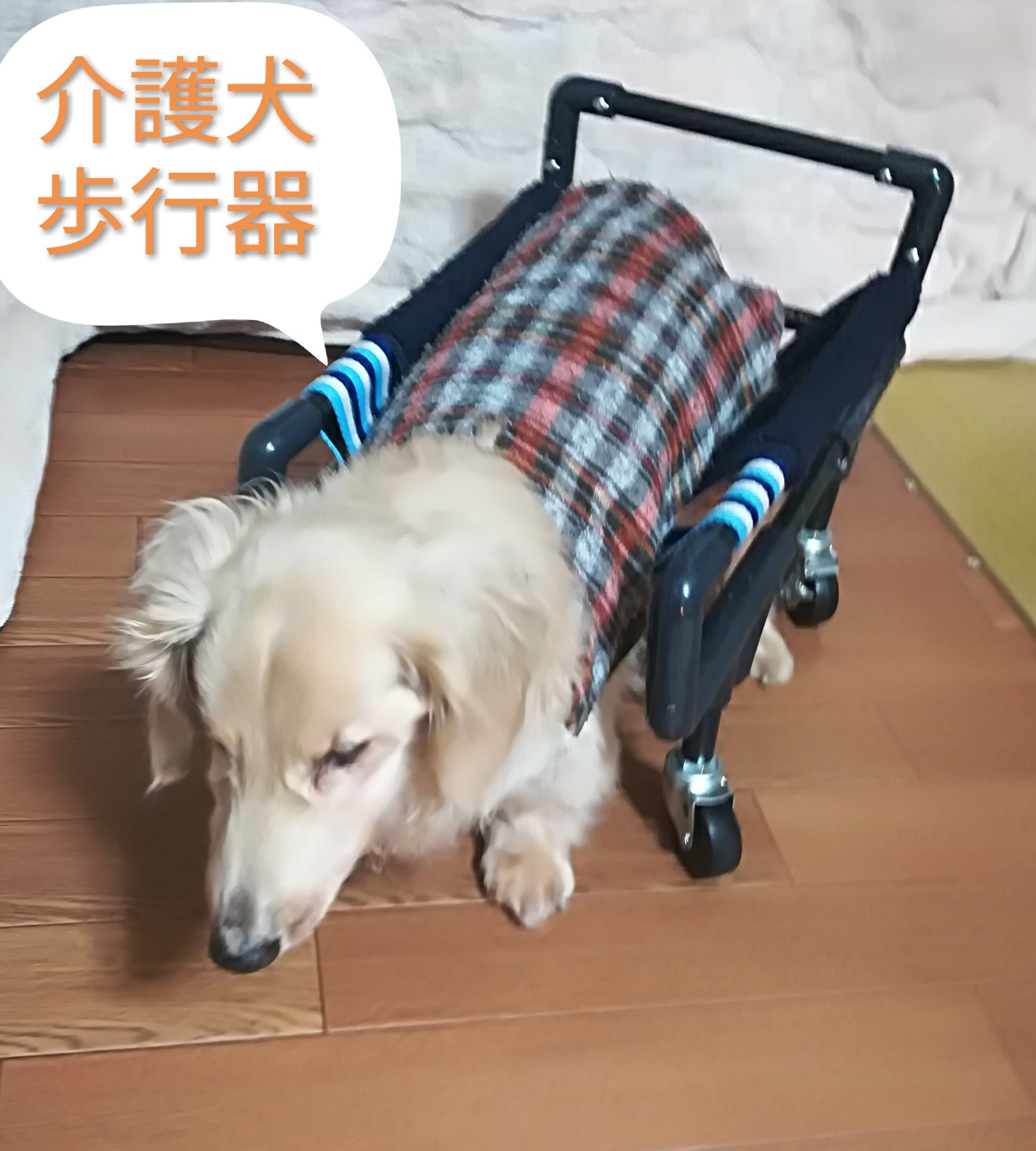 犬の４輪歩行器、犬車いす(中型犬シートタイプ) - ヘルスケア・介護用品