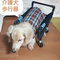 犬の４輪歩行器、中型犬歩行器、車椅子（中型犬シートタイプ） 1枚目の画像