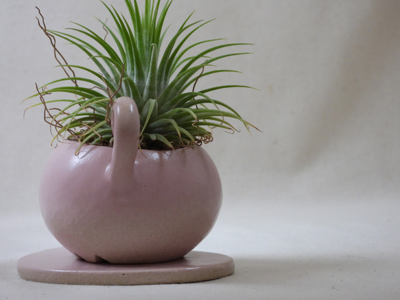 ピンクネコちゃん陶製植木鉢(ネコ皿付き) 11枚目の画像