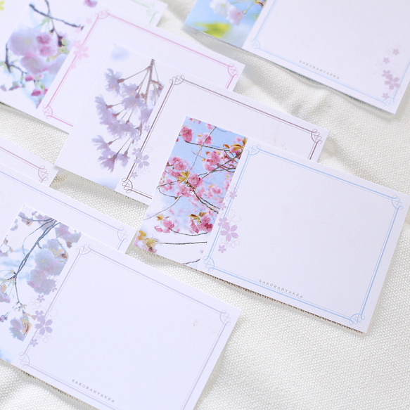 桜図鑑みたいなメッセージカード　22種セット 2枚目の画像
