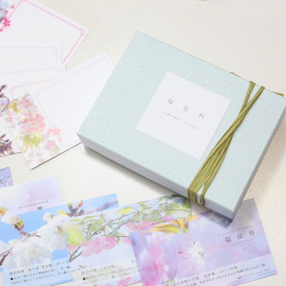 桜図鑑みたいなメッセージカード　22種セット 6枚目の画像