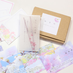 桜図鑑みたいなメッセージカード　22種セット 4枚目の画像