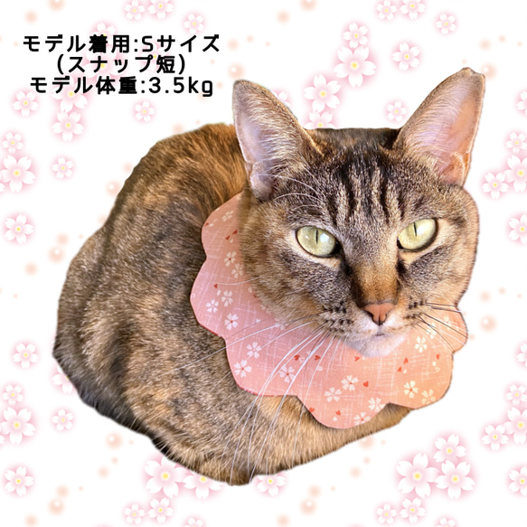 リバーシブルneco neco スタイ 桜柄 ◇猫用スタイ　猫スタイ　猫のお洋服　猫のおしゃれ　首輪　 5枚目の画像