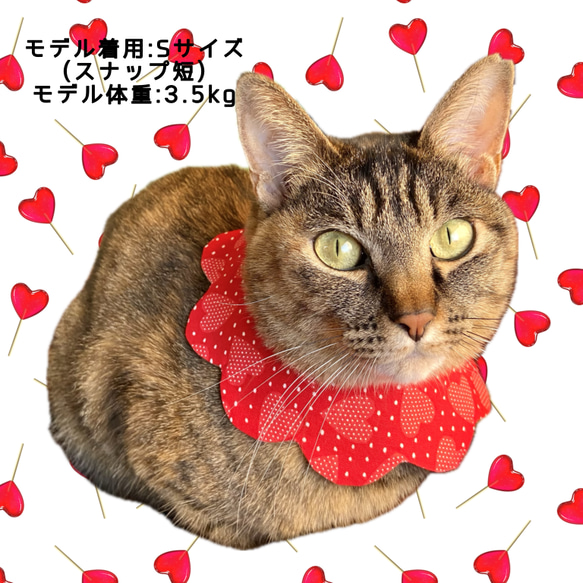 リバーシブルneco neco スタイ 桜柄 ◇猫用スタイ　猫スタイ　猫のお洋服　猫のおしゃれ　首輪　 8枚目の画像