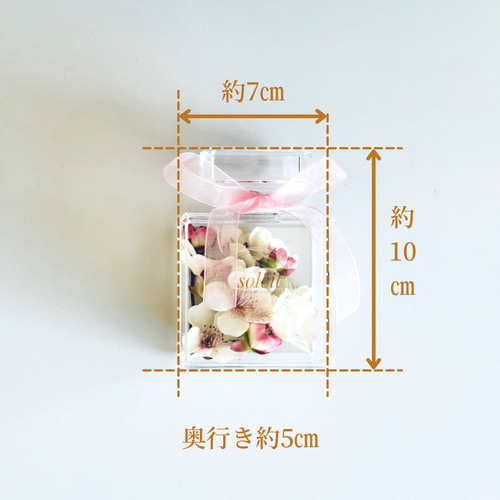 大幅値下げ] 10万→5万円ツバキ (縁起物) 大幅値下げ] 10万→5万円