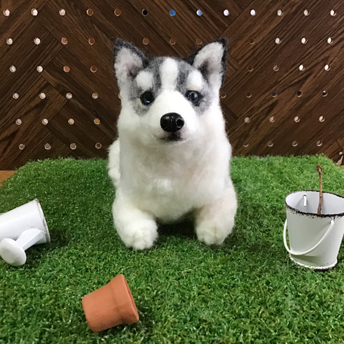 Amazon.co.jp: 犬の置物 ハスキー T14270 シベリアン