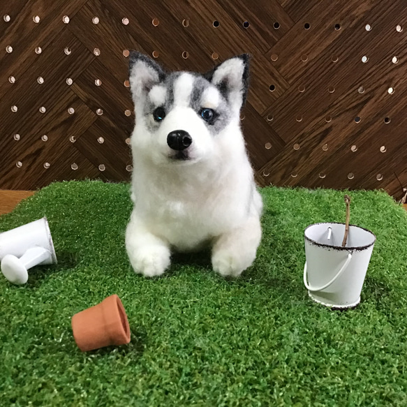 羊毛フェルト ハンドメイド シベリアンハスキー 犬の通販 by