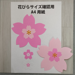 春の壁面飾り　桜の花　入学式壁面飾り　卒業式壁面飾り 5枚目の画像