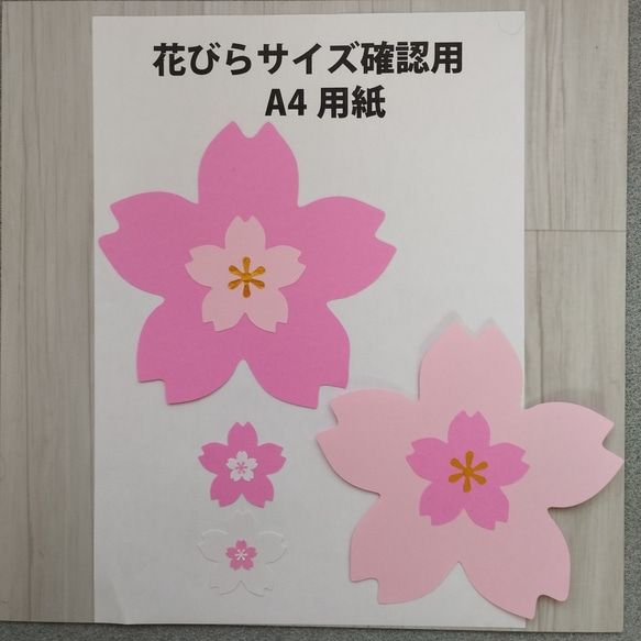 春の壁面飾り　桜の花　入学式壁面飾り　卒業式壁面飾り 5枚目の画像