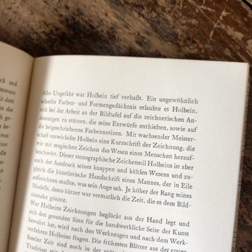 ドイツ インゼル文庫 Nr.95（Germany）DA-INS038 その他素材 DAISY