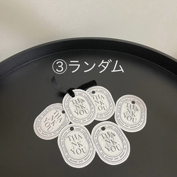 【5枚50円】 diptyque ディプティック 風　サンキュータグ　プチギフト 7枚目の画像