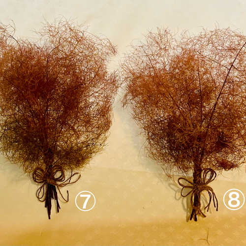 スモークツリー ドライフラワー ドライフラワー Satsuki 通販 17162021