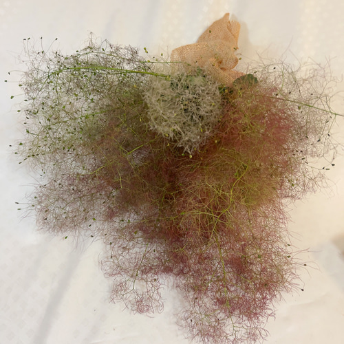 スモークツリー ドライフラワー ドライフラワー Satsuki 通販 17162021