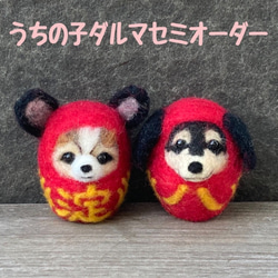 うちのこダルマセミオーダー　羊毛フェルト犬　うちのこダルマ　うちの子グッズ　羊毛フェルトダルマ 1枚目の画像