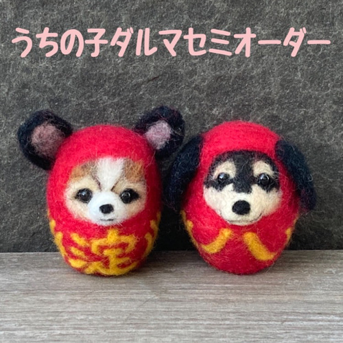 羊毛フェルトダルマセミオーダー 羊毛フェルト犬 パピヨン うちの子 