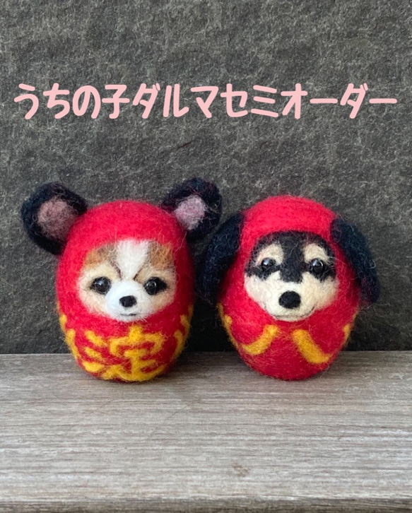 うちのこダルマセミオーダー　羊毛フェルト犬　うちのこダルマ　うちの子グッズ　羊毛フェルトダルマ 1枚目の画像