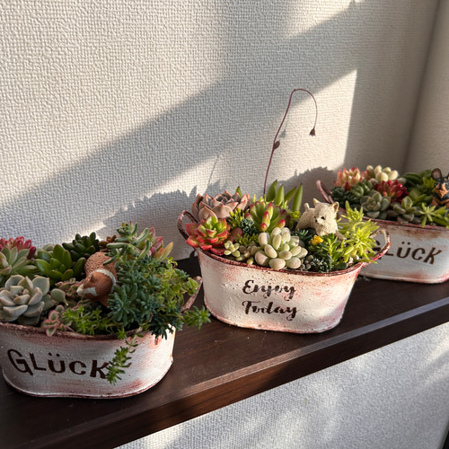 ★多肉植物　寄せ植え〜ねこちゃんの手作り水栓プランター〜★ ☆多肉植物寄せ植え〜ねこちゃんの手作り水栓プランター〜☆