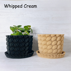 【在庫管理セール】HINERI3号, Whipped Cream2号セット 4枚目の画像