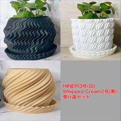 【在庫管理セール】HINERI3号, Whipped Cream2号セット 1枚目の画像