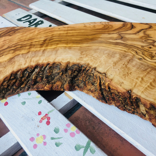 ◇オリーブの木 【特大溝付き 42cm】個性あふれる1点もの どっしりと  