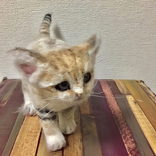 羊毛フェルト　スナネコ 羊毛フェルト スナネコ