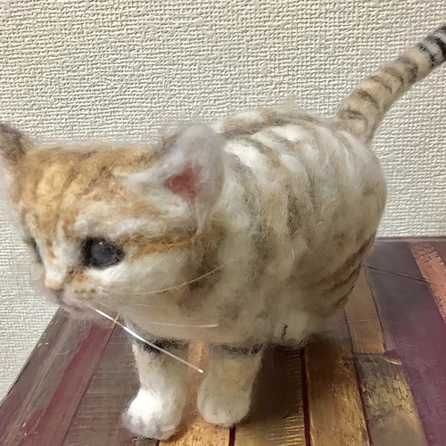 受注制作☆羊毛フェルトのスナネコ赤ちゃん 羊毛フェルト MoncheriMOMO