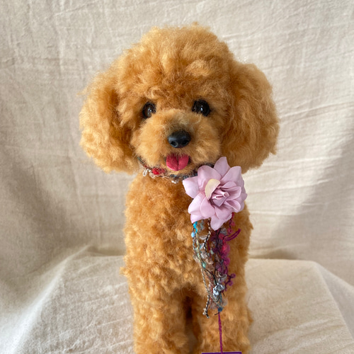 トイプードル お座り ぺたん座り 羊毛フェルト ハンドメイド